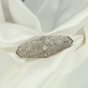 Broche Elipse Platino